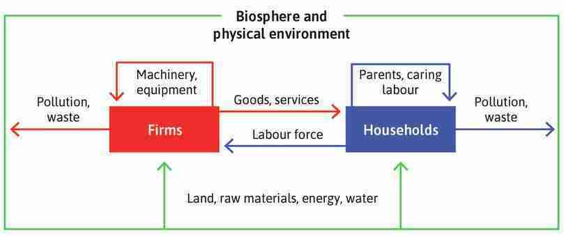 A model of the economy: Households and firms.

