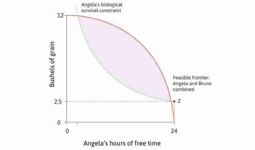 The biological survival constraint
: If Angela does not work at all, she needs 2.5 bushels to survive (point Z). If she gives up some free time and expends energy working, she needs more food, so the curve is higher when she has less free time. This is the biological survival constraint.
