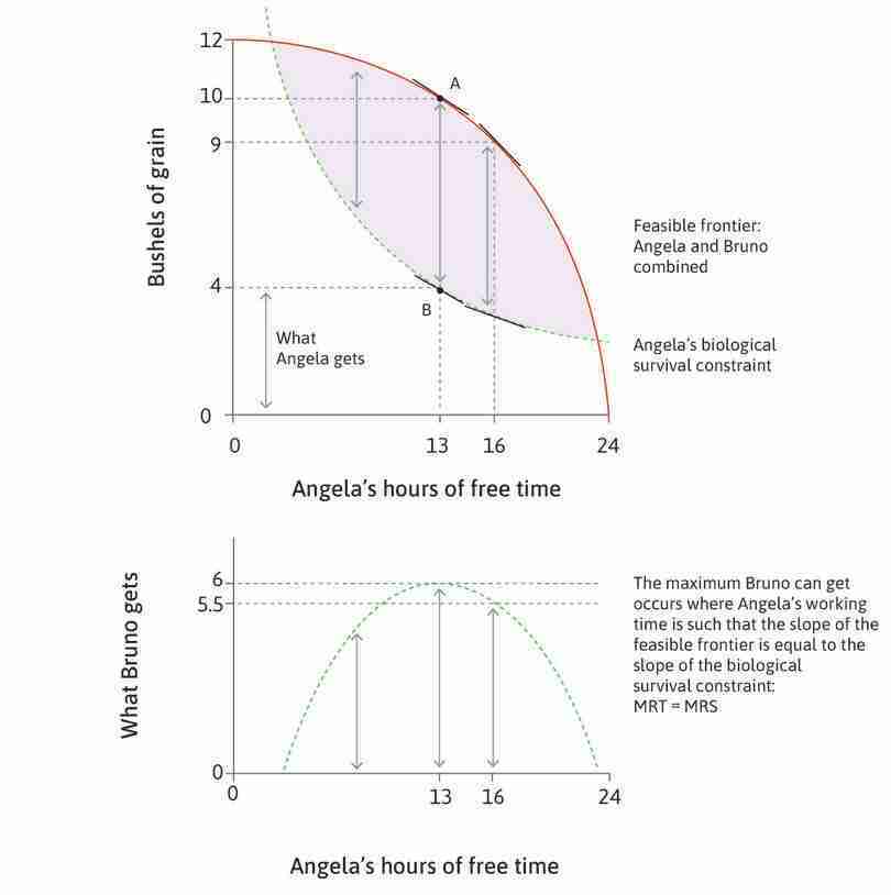 The best Bruno can do for himself
: Bruno gets the maximum amount of grain by choosing allocation B, where Angela’s working time is such that the slope of the feasible frontier is equal to the slope of the biological survival constraint: MRT = MRS.
